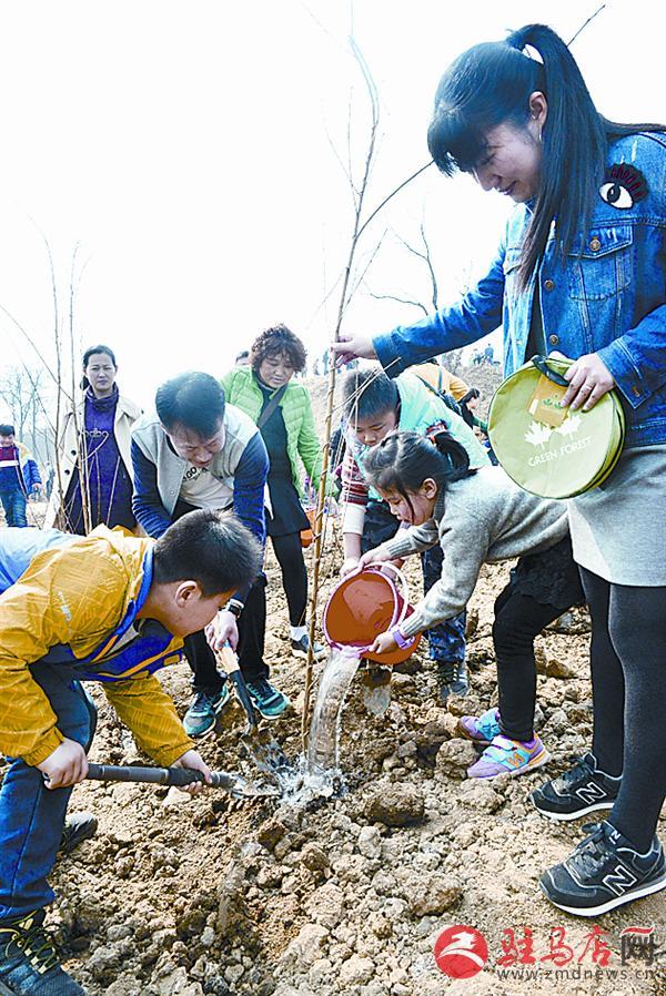 乐山环保检查深化治理，共建绿色家园最新消息